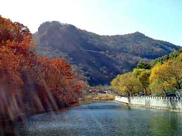 新澳天天开奖资料大全旅游团，狂徒朽木可雕